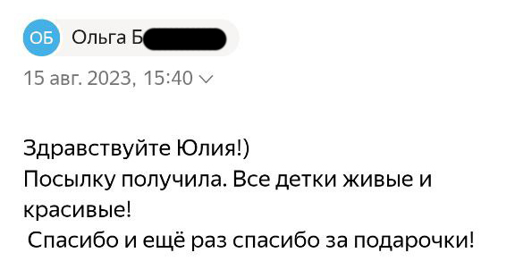 Отзыв покупателя